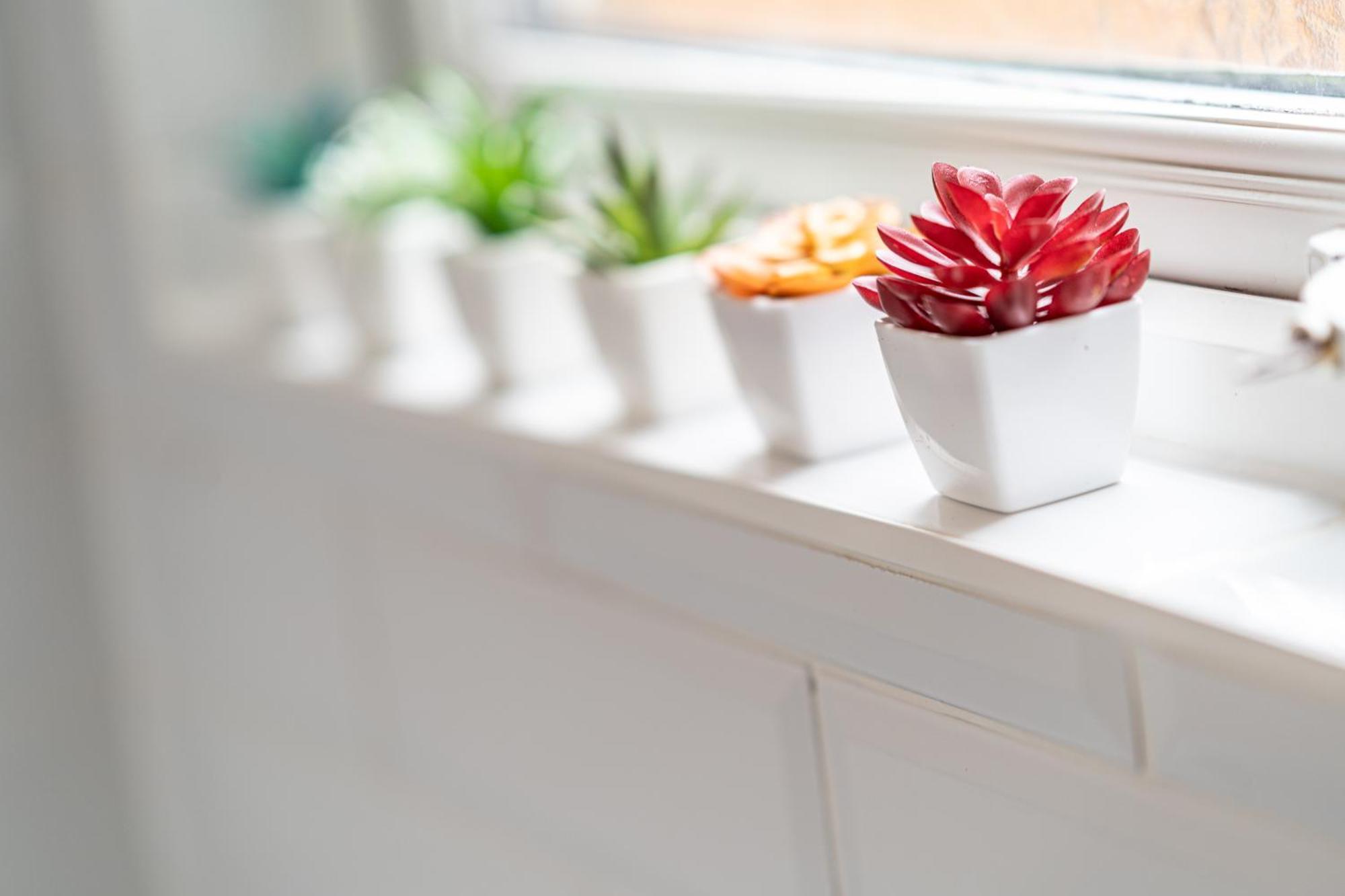 Beautiful 2 Bedroom With Private Garden In Wimbledon - Minutes From Central London Exteriör bild